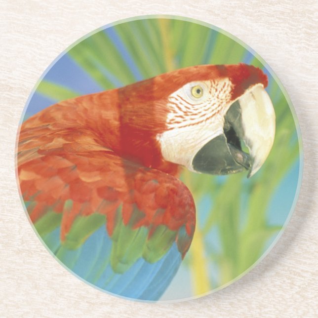 USA, Hawaii. Parrot Coaster (Front)