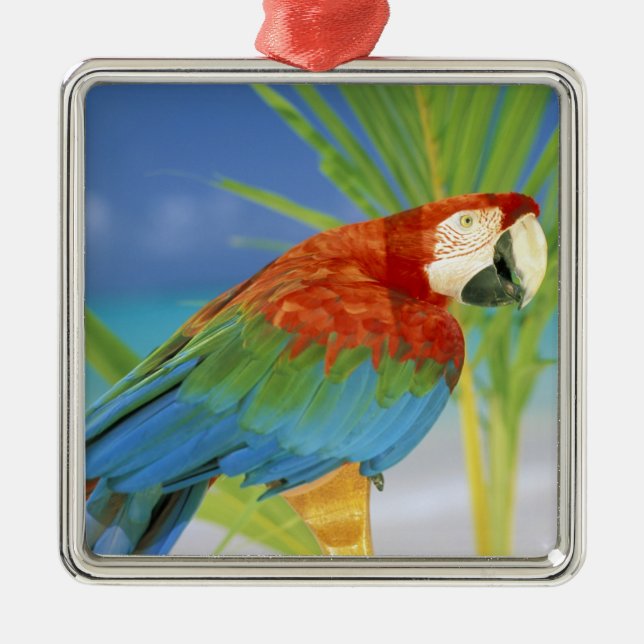 USA, Hawaii. Parrot Metal Tree Decoration (Front)
