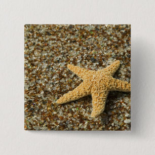 USA, HI, Kauai, Glass Beach with Star fish 15 Cm Square Badge