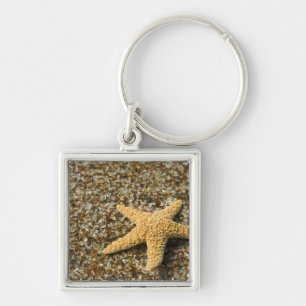 USA, HI, Kauai, Glass Beach with Star fish Key Ring