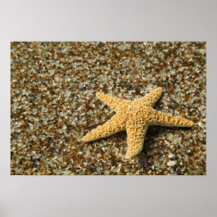 USA, HI, Kauai, Glass Beach with Star fish Poster