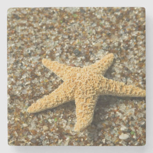 USA, HI, Kauai, Glass Beach with Star fish Stone Coaster