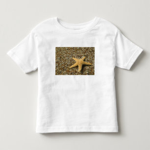 USA, HI, Kauai, Glass Beach with Star fish Toddler T-Shirt