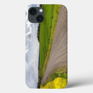 USA, Idaho, Idaho County, Canola Field iPhone 13 Case