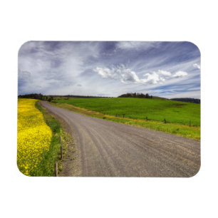 USA, Idaho, Idaho County, Canola Field Magnet