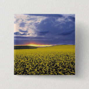 USA, Idaho, Swan Valley. A fiery sunset erupts 15 Cm Square Badge