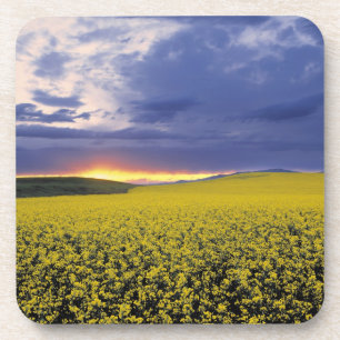 USA, Idaho, Swan Valley. A fiery sunset erupts Coaster