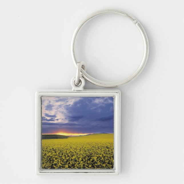 USA, Idaho, Swan Valley. A fiery sunset erupts Key Ring (Front)