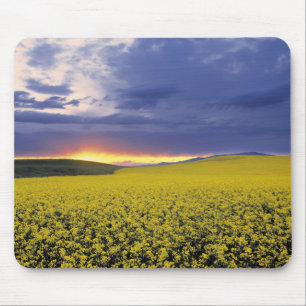 USA, Idaho, Swan Valley. A fiery sunset erupts Mouse Mat