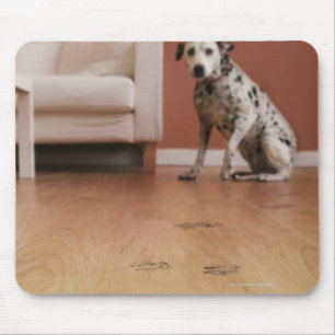 USA, Illinois, Metamora, Close-up of floor with Mouse Mat