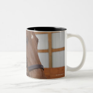 USA, Illinois, Metamora, Portrait of smiling Two-Tone Coffee Mug