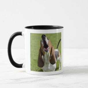 USA, Illinois, Washington, Portrait of Bassett Mug