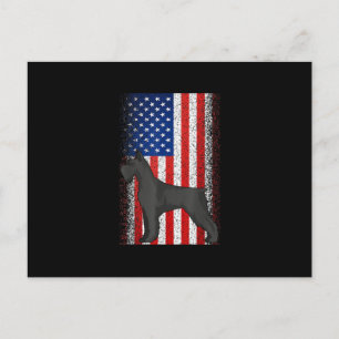 USA Independence Day July 4th American Flag Schnau Holiday Postcard