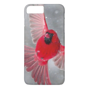 USA, Indiana, Indianapolis. A male cardinal iPhone 8 Plus/7 Plus Case