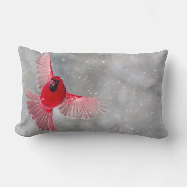 USA, Indiana, Indianapolis. A male cardinal Lumbar Cushion (Front)