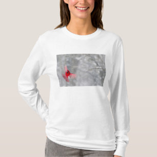 USA, Indiana, Indianapolis. A male cardinal T-Shirt