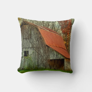 USA, Indiana. rural landscape, vine-covered barn Cushion