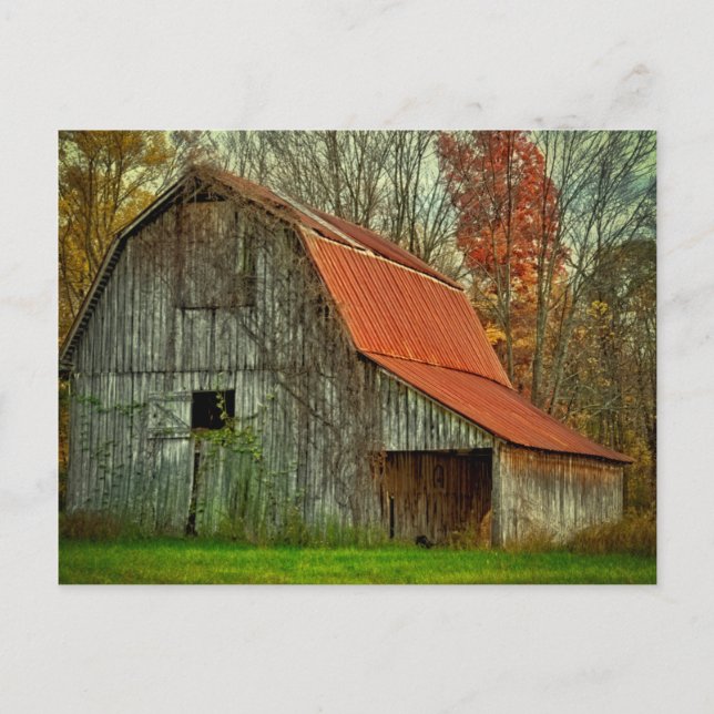 USA, Indiana. rural landscape, vine-covered barn Postcard (Front)
