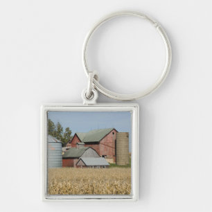 USA, IOWA, Froelich: Old farm Key Ring