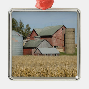 USA, IOWA, Froelich: Old farm Metal Tree Decoration