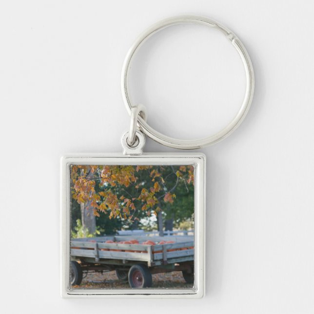 USA, IOWA, Madison County, Winterset: Howell's Key Ring (Front)