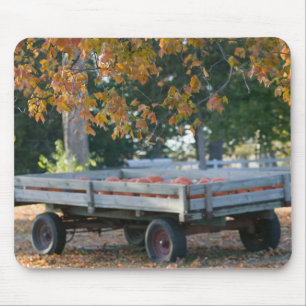 USA, IOWA, Madison County, Winterset: Howell's Mouse Mat