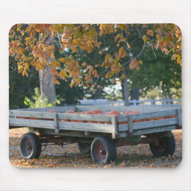 USA, IOWA, Madison County, Winterset: Howell's Mouse Mat (Front)