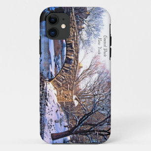 USA iPhone 5 case