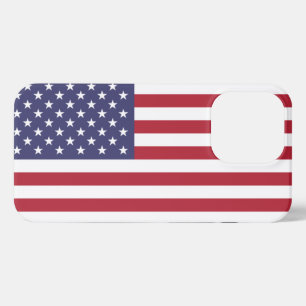 USA iPhone 13 PRO CASE