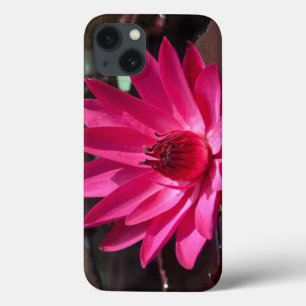 USA, Kansas, Bright Red Water Lilly iPhone 13 Case