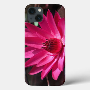 USA, Kansas, Bright Red Water Lilly iPhone 13 Case