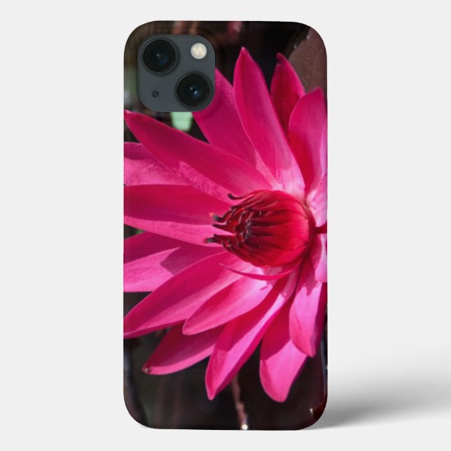 USA, Kansas, Bright Red Water Lilly Case-Mate iPhone Case (Back)