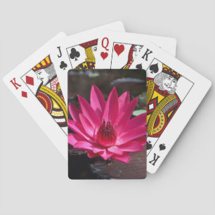 USA, Kansas, Bright Red Water Lilly Playing Cards