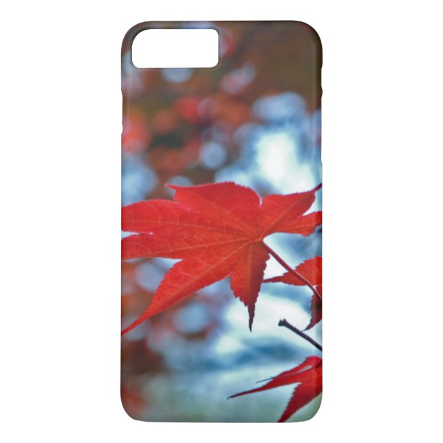 USA, Kansas. Fall Colours Case-Mate iPhone Case (Back)