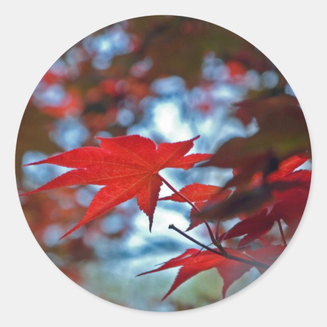 USA, Kansas. Fall Colours Classic Round Sticker (Front)