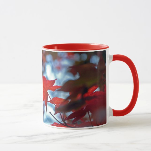 USA, Kansas. Fall Colours Mug (Right)