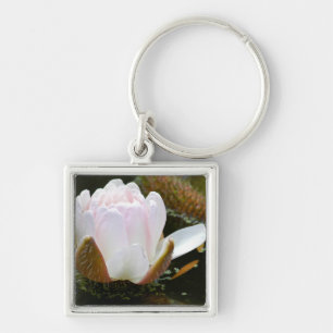 USA, Kansas, Light Pink Water Lilly Blooming Key Ring