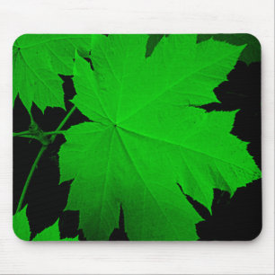 USA, Kansas, Oak Leaves In The Light Mouse Mat