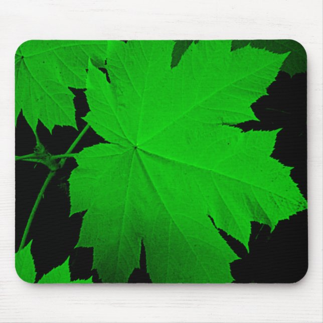 USA, Kansas, Oak Leaves In The Light Mouse Mat (Front)