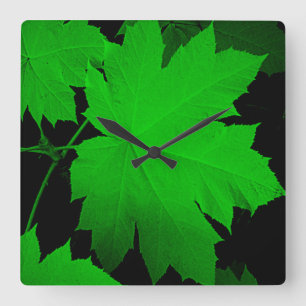 USA, Kansas, Oak Leaves In The Light Square Wall Clock