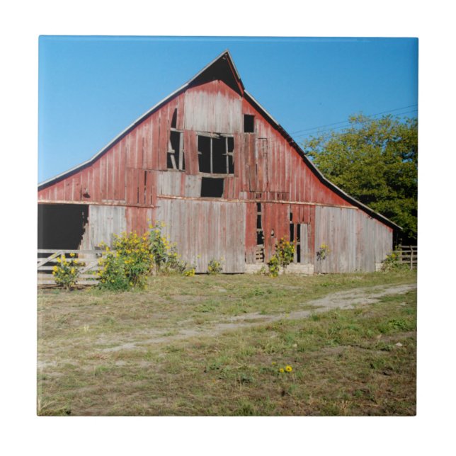 USA, Kansas, Old Red Barn Tile (Front)