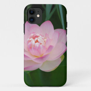 USA, Kansas, Pink Water Lilly iPhone 11 Case