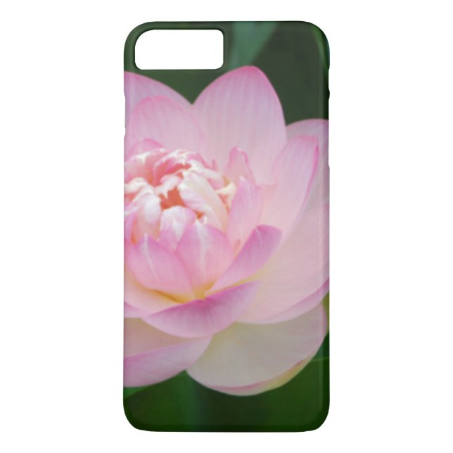 USA, Kansas, Pink Water Lilly Case-Mate iPhone Case (Back)
