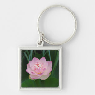 USA, Kansas, Pink Water Lilly Key Ring