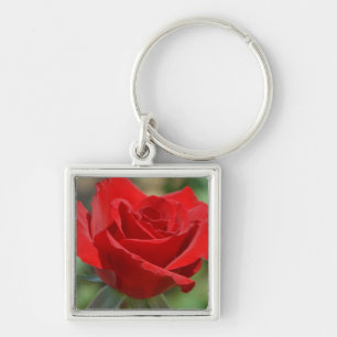 USA, Kansas, Red Rose Key Ring