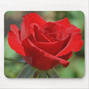 USA, Kansas, Red Rose Mouse Mat