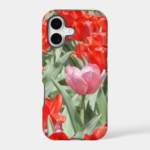 USA, Kansas, Red Tulips With One Pink Tulip