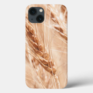 USA, Kansas, Wheat At Harvest Time iPhone 13 Case