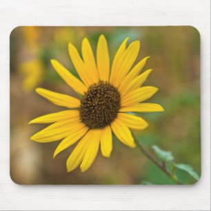 USA, Kansas. Wild Sunflower Mouse Mat
