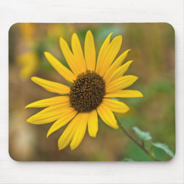 USA, Kansas. Wild Sunflower Mouse Mat (Front)